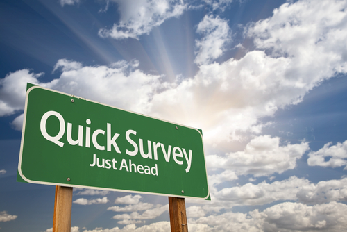 Developing a Sales Management Questionnaire